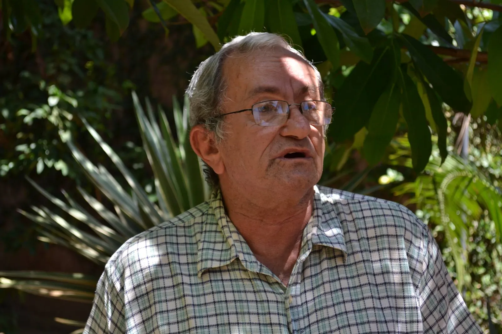 Facebook/José Alves